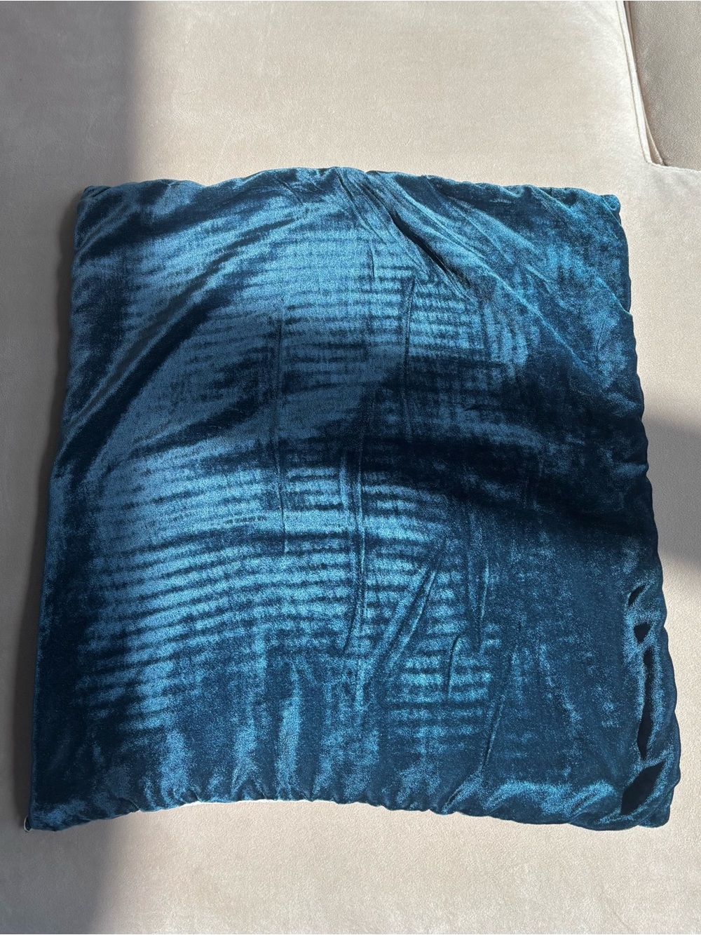 West Elm Lush Velvet Pillow Cover